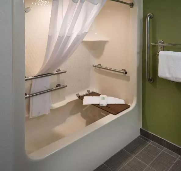身障者適用スタンダードルーム, Sleep Inn & Suites Cross Lanes  South Charleston
