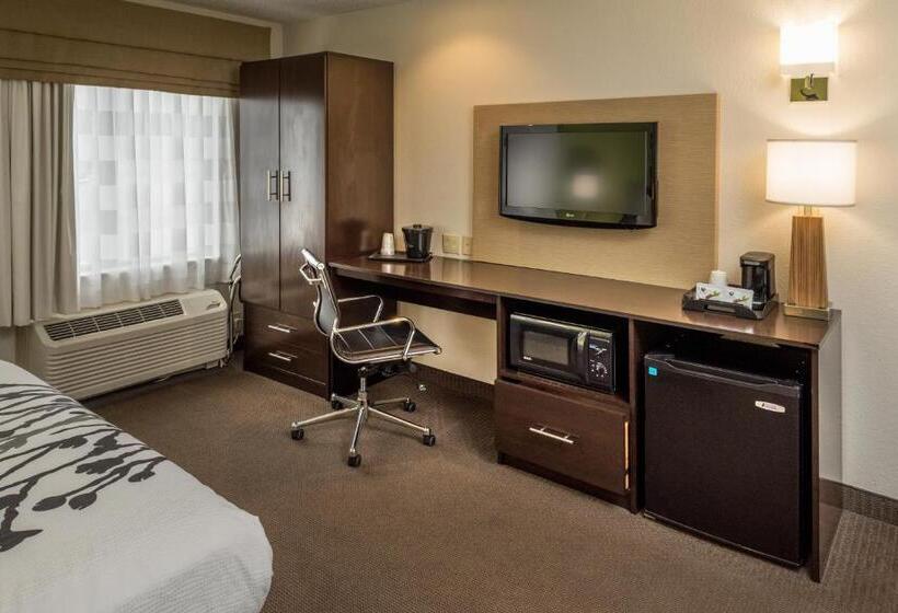 장애인을 위한 스탠다드 룸, Sleep Inn & Suites Cross Lanes South Charleston