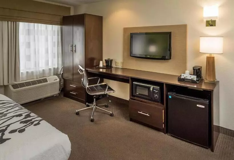 身障者適用スタンダードルーム, Sleep Inn & Suites Cross Lanes  South Charleston