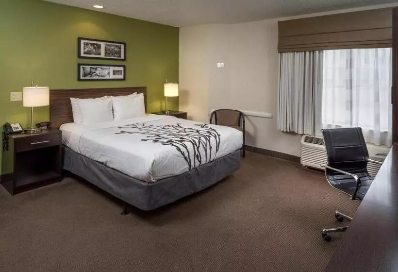 身障者適用スタンダードルーム, Sleep Inn & Suites Cross Lanes  South Charleston