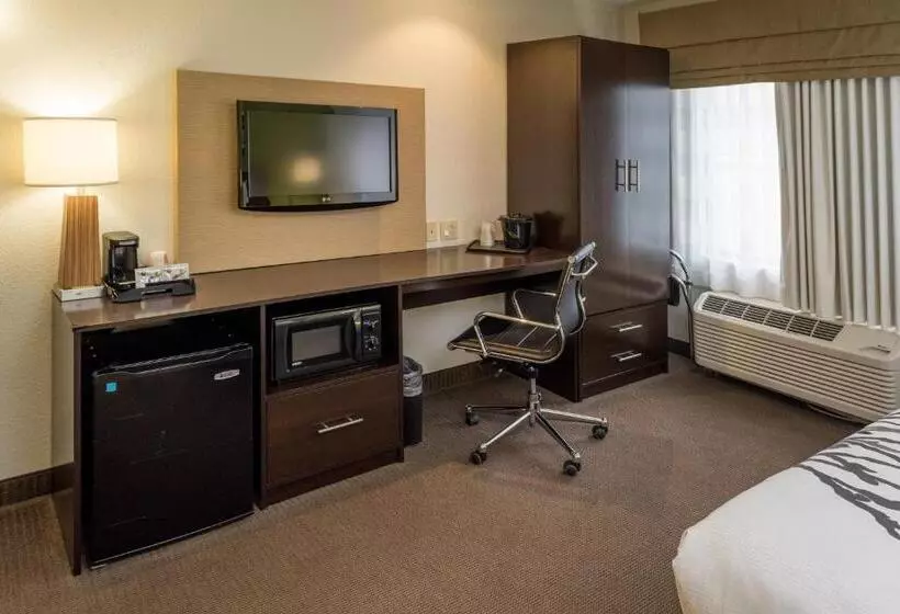 身障者適用スタンダードルーム, Sleep Inn & Suites Cross Lanes  South Charleston