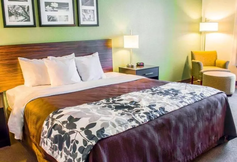 キングサイズベッドのスタンダードルーム, Sleep Inn & Suites Virginia Horse Center