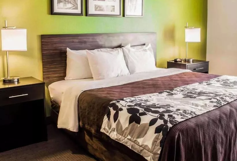 キングサイズベッドのスタンダードルーム, Sleep Inn & Suites Virginia Horse Center