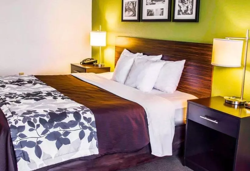 キングサイズベッドのスタンダードルーム, Sleep Inn & Suites Virginia Horse Center