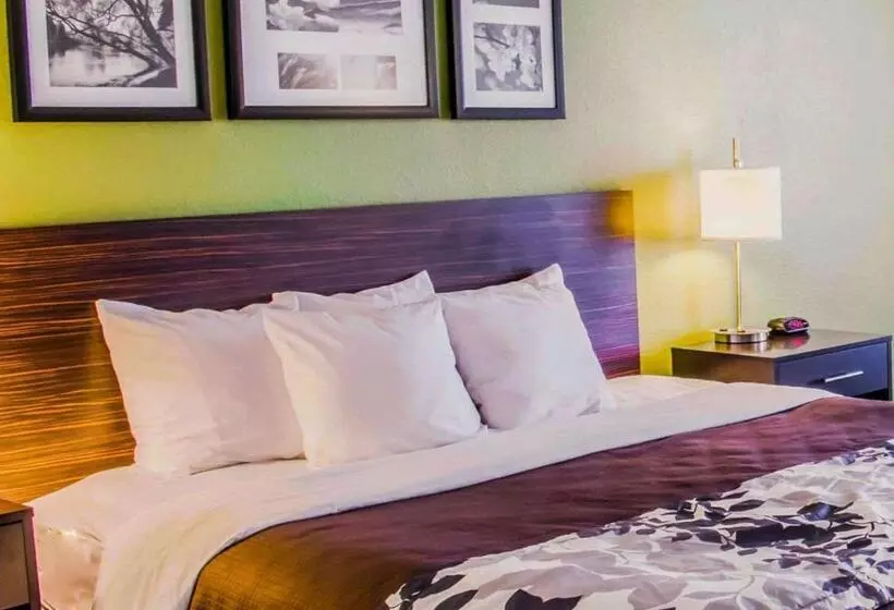 キングサイズベッドのスタンダードルーム, Sleep Inn & Suites Virginia Horse Center
