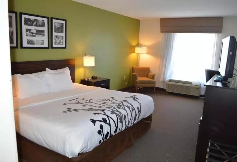 キングサイズベッドのスタンダードルーム, Sleep Inn & Suites Virginia Horse Center