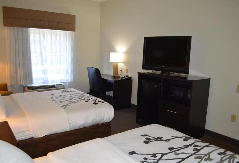 Номер Стандарт, Sleep Inn & Suites Virginia Horse Center