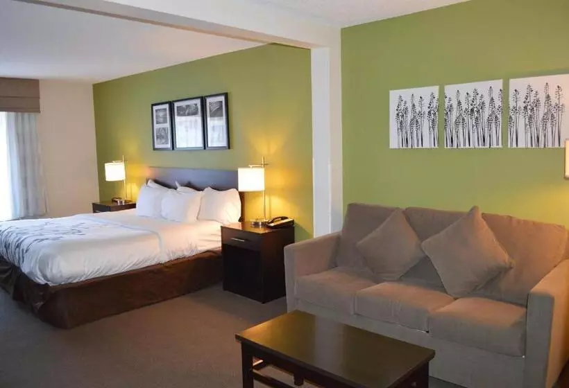 キングサイズベッドのスイートルーム, Sleep Inn & Suites Virginia Horse Center