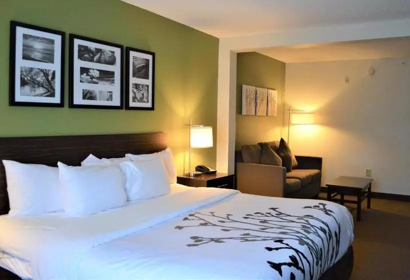 キングサイズベッドのスイートルーム, Sleep Inn & Suites Virginia Horse Center