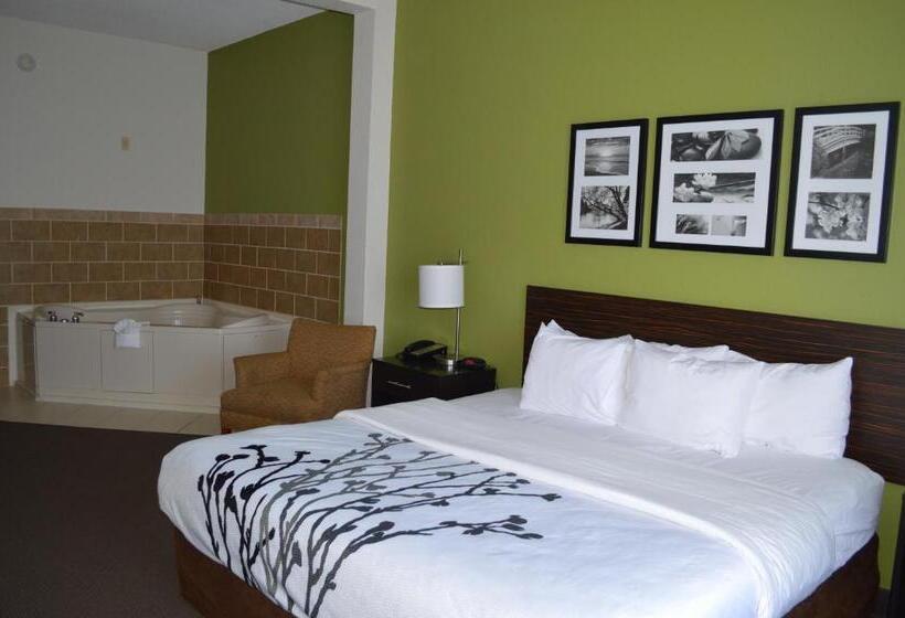 Люкс Кровать Кинг, Sleep Inn & Suites Virginia Horse Center