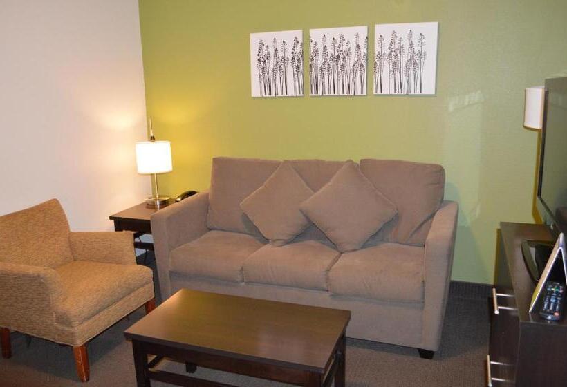 Люкс, Sleep Inn & Suites Virginia Horse Center