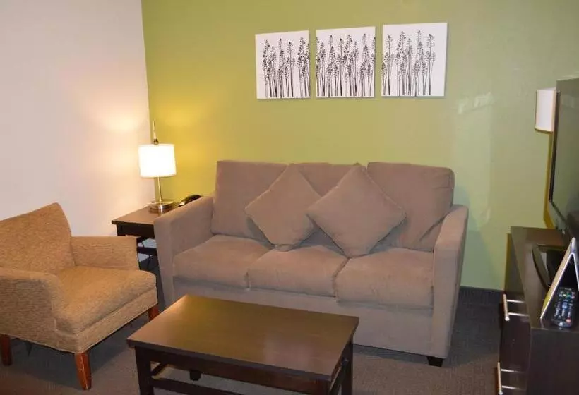 スイート, Sleep Inn & Suites Virginia Horse Center