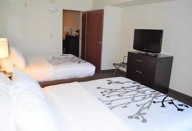 スイート, Sleep Inn & Suites Virginia Horse Center