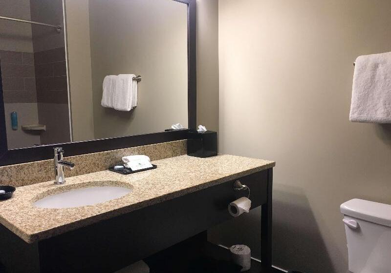 带大床的套房, Super 8 By Wyndham Irving/dfw Apt/north