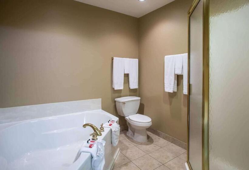 جناح ديلوكس سرير كينج, Super 8 By Wyndham Union