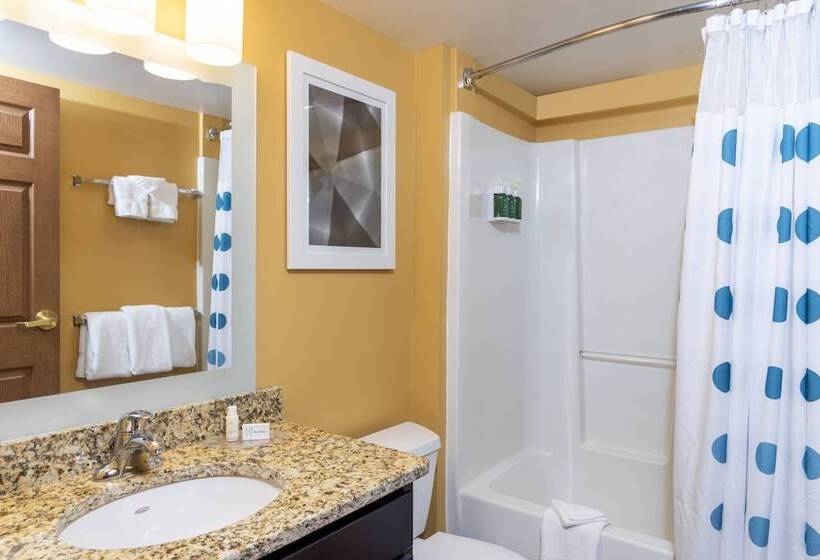 جناح, Towneplace Suites By Marriott East Lansing