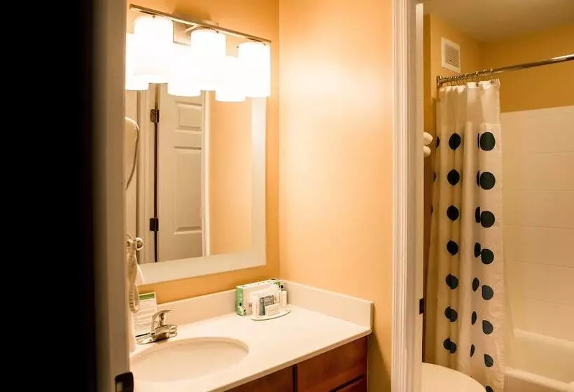 ２ベッドスイートルーム, Towneplace Suites Fredericksburg