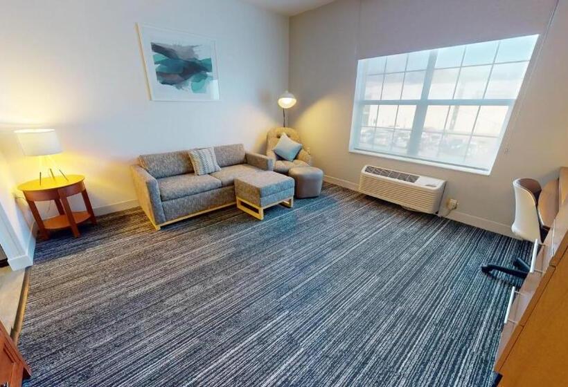 스탠다드 스튜디오, Towneplace Suites Fredericksburg