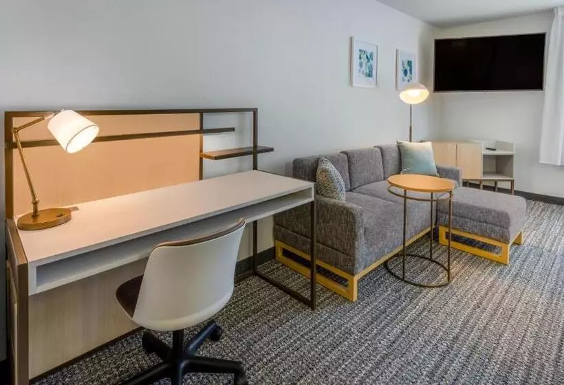 استودیوی لوکس, Towneplace Suites New Orleans Metairie