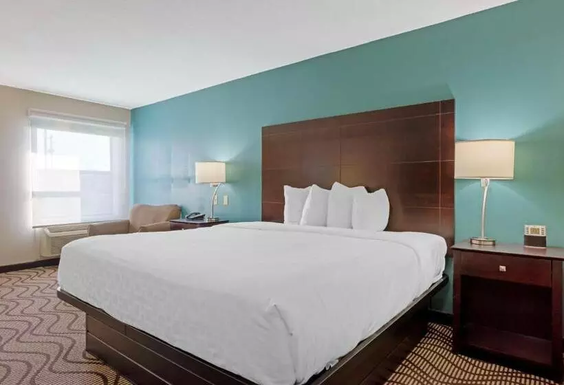 身障者適用キングサイズベッドルーム, Best Western Plus Lonoke
