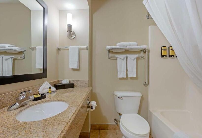 스탠다드 룸 킹사이즈 침대, Best Western Plus Lonoke