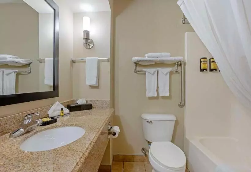 キングサイズベッドのデラックスルーム, Best Western Plus Lonoke