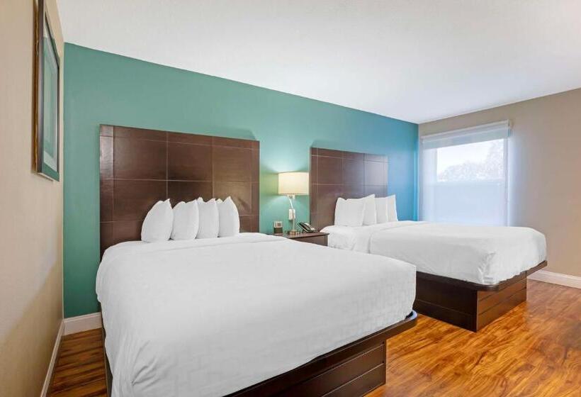 스탠다드 룸, Best Western Plus Lonoke