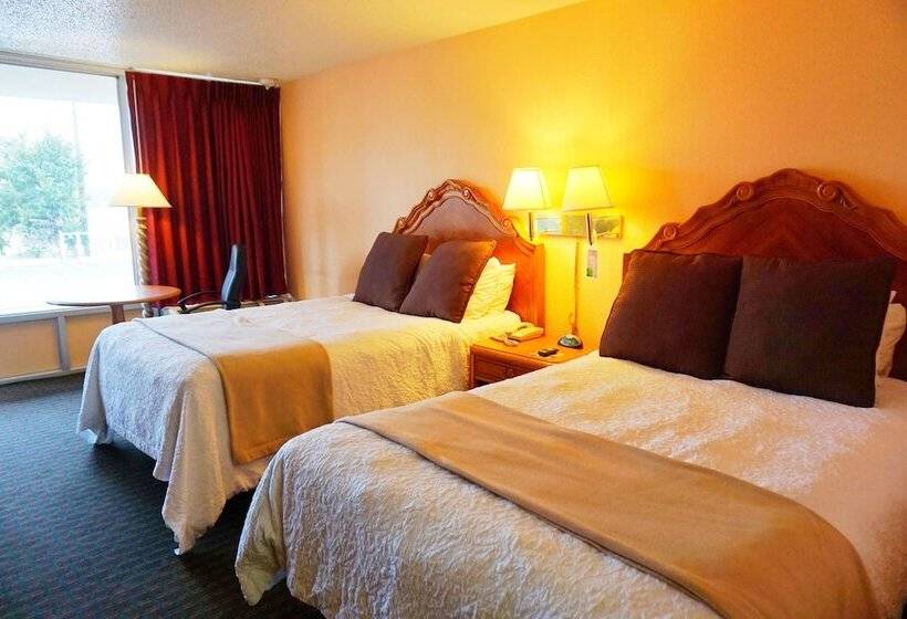 Номер Стандарт 2 Двуспальные Кровати, Castle Inn & Suites