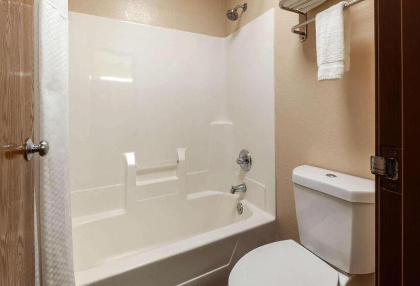 غرفة قياسية, Super 8 By Wyndham Big Rapids