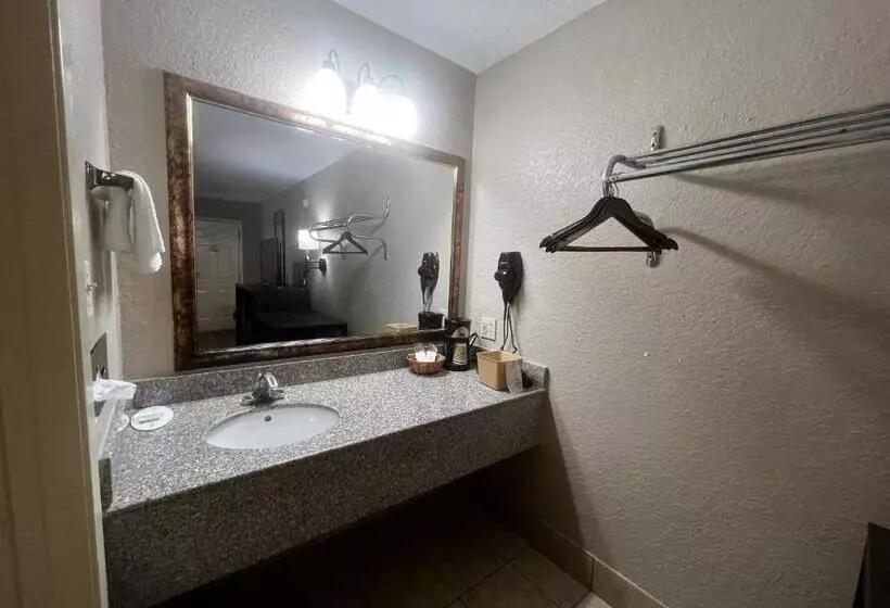 キングサイズベッドのスタンダードルーム, Super 8 By Wyndham La Marque Tx/texas City Area