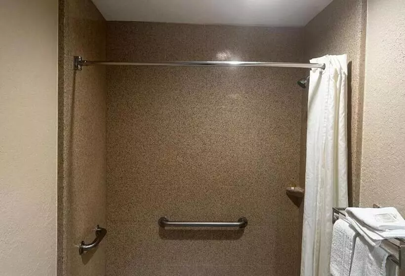 身障者適用キングサイズベッドルーム, Super 8 By Wyndham La Marque Tx/texas City Area