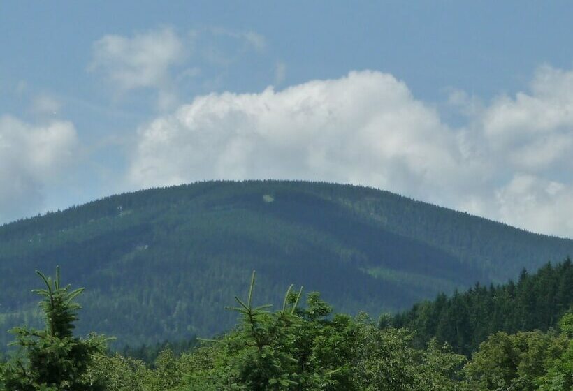 Четырехместный Номер Стандарт, Blue Pension