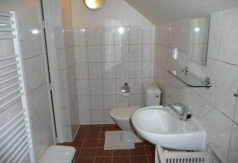 Четырехместный Номер Стандарт, Blue Pension