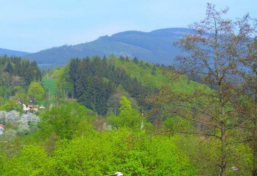 Четырехместный Номер Стандарт, Blue Pension