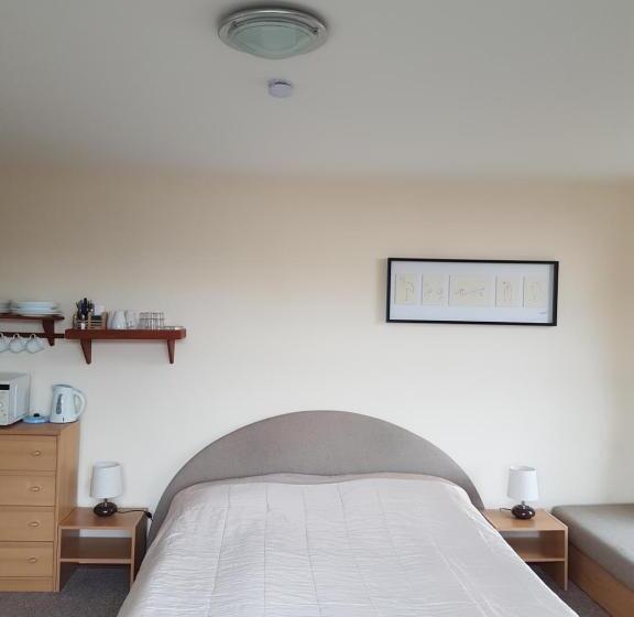 Четырехместный Номер Стандарт, Blue Pension