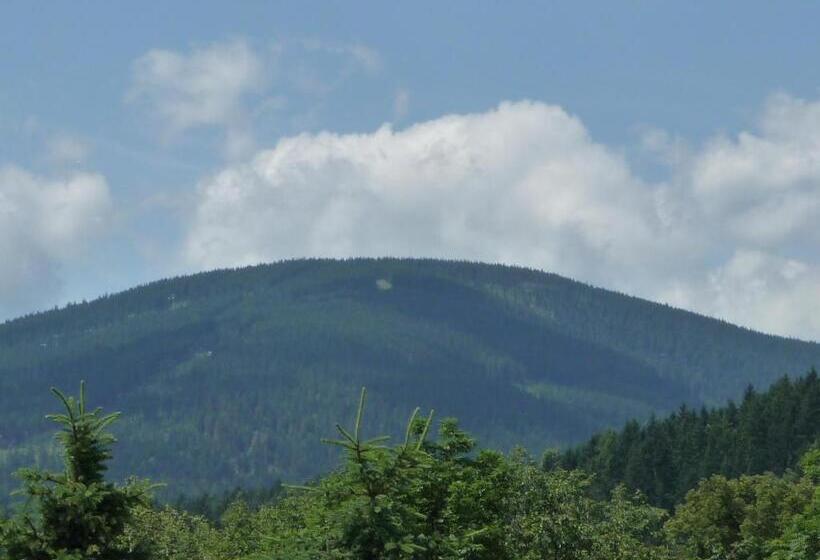 Четырехместный Номер Стандарт, Blue Pension