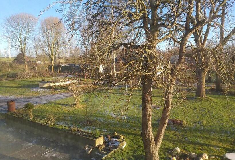 スタンダードルーム, Ahoi