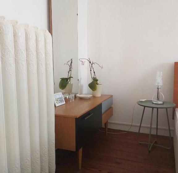 スタンダードルーム, Ahoi