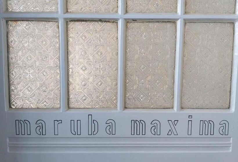 スタンダードルーム, Ahoi