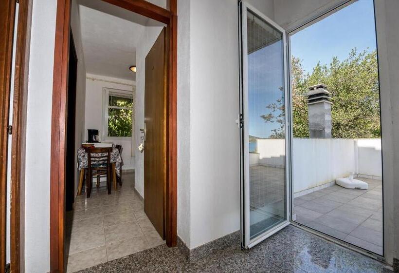 استوديو إقتصادى, Picić Guesthouse