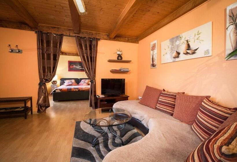 סטודיו סטנדרט, מיטה זוגית, Chambres D Hôtes & Gîtes La Paysanne