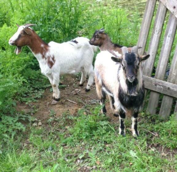 家庭间, Chambres D Hotes La Source