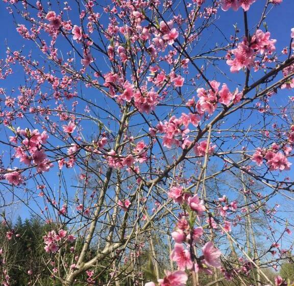 家庭间, Chambres D Hotes La Source