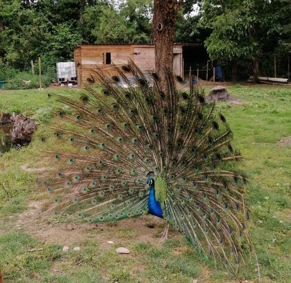 家庭间, Chambres D Hotes La Source