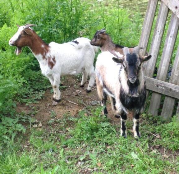 标准间, Chambres D Hotes La Source