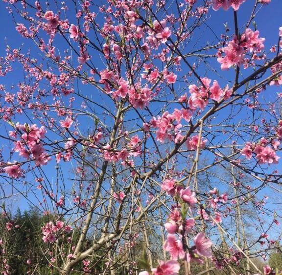 标准间, Chambres D Hotes La Source