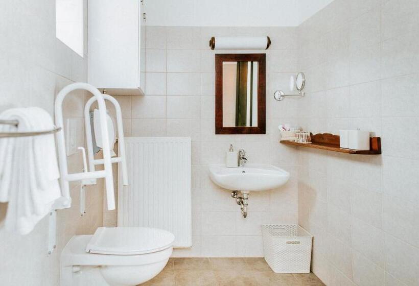 غرفة قياسية لذوى الاحتياجات الخاصة, Kosbor Panzió