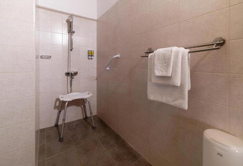 غرفة قياسية لذوى الاحتياجات الخاصة, Kosbor Panzió