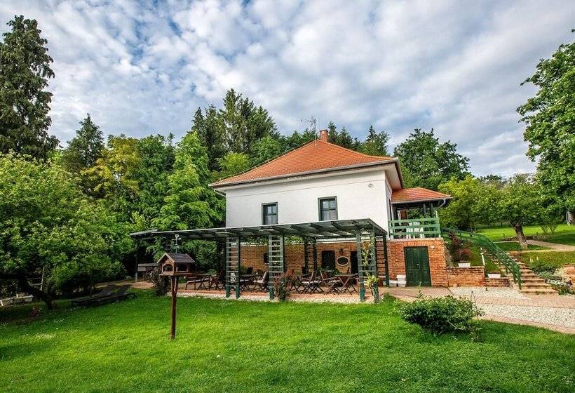 غرفة قياسية, Kosbor Panzió