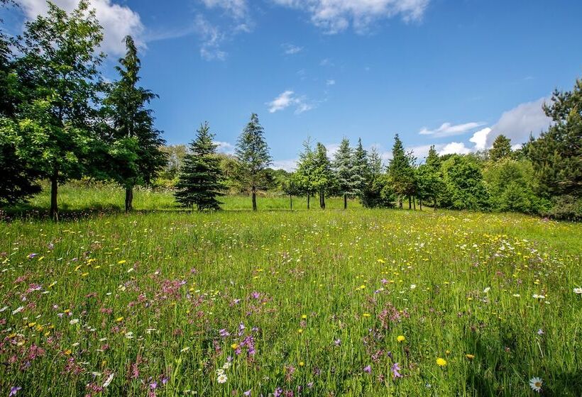 דירת חדר, Kosbor Panzió